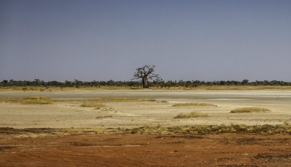 Libro Senegal-40 - TörTör Fiore