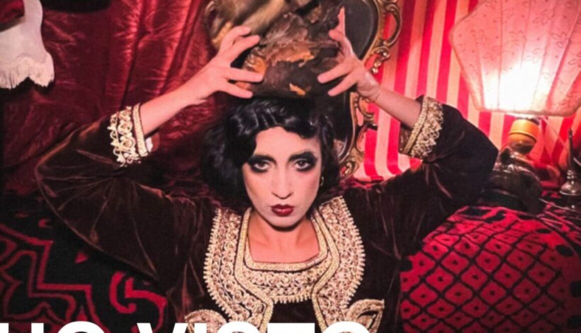 FB Ho visto - Comunicazione IDRA Teatro (1)