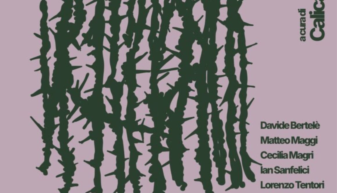 Untitled design (15) (1)